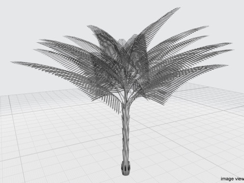 Palm Tree - Date Modello 3D