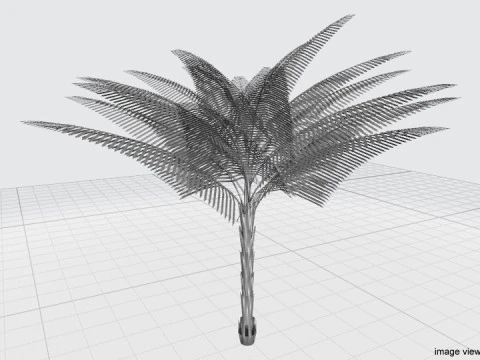 Palm Tree - Date 3D Model