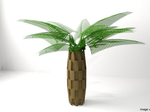 Palm Tree - Oil Model 3D