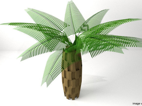 Palm Tree - Oil 3Dモデル