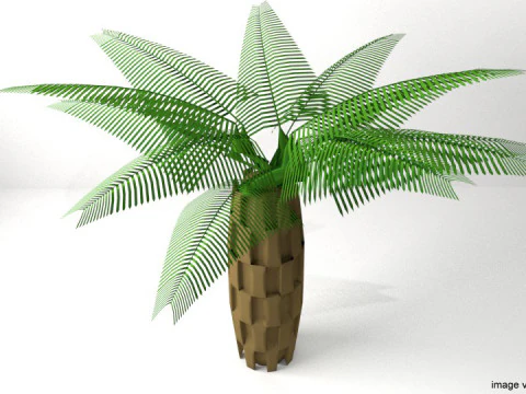 Palm Tree - Oil 3D Model