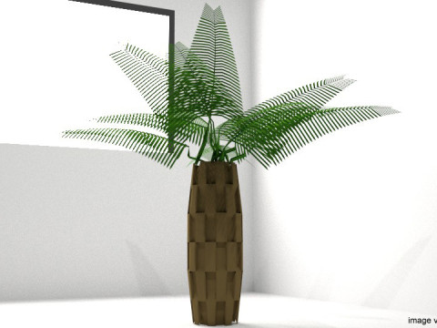 Palm Tree - Oil 3Dモデル
