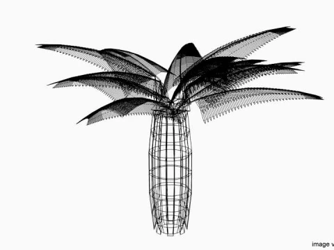 Palm Tree - Oil 3D Model