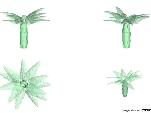 Palm Tree - Oil 3D Model