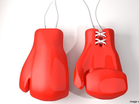 Boxing Gloves 3D Model