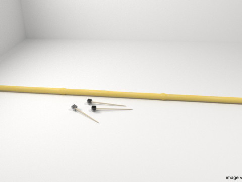 Blowgun - Bamboo 3Dモデル
