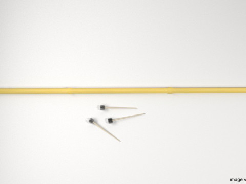 Blowgun - Bamboo Modello 3D