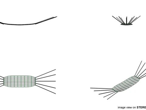 Bed - Hammock 3D Model
