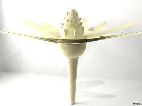 Flower - Cape 3D Model