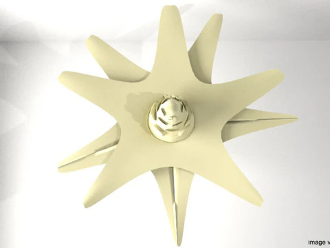 Flower - Cape 3D Model