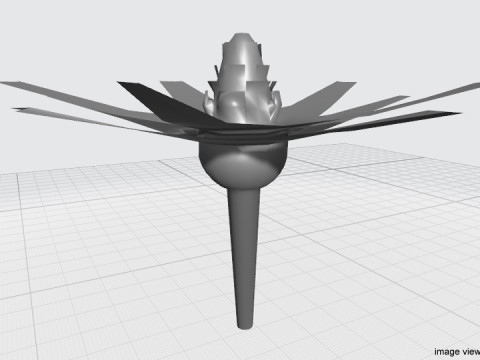 Flower - Cape 3D 模型