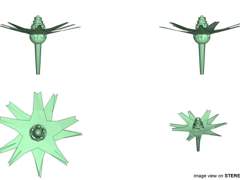 Flower - Cape 3D Model