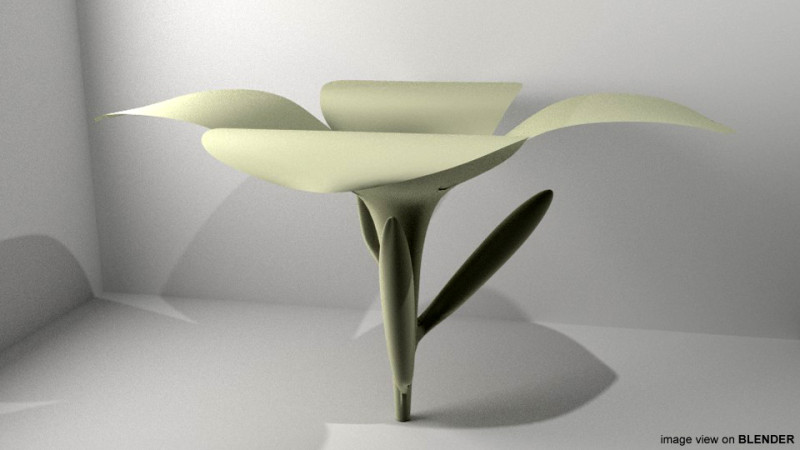 Flower - Frangipani 3D मॉडल .c4d .max .obj .3ds .fbx .stl .blend