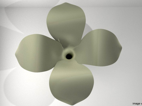 Flower - Frangipani 3D मॉडल