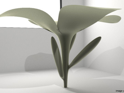 Flower - Frangipani 3D मॉडल