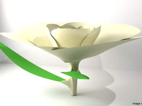 Flower - Gardenia 3Dモデル