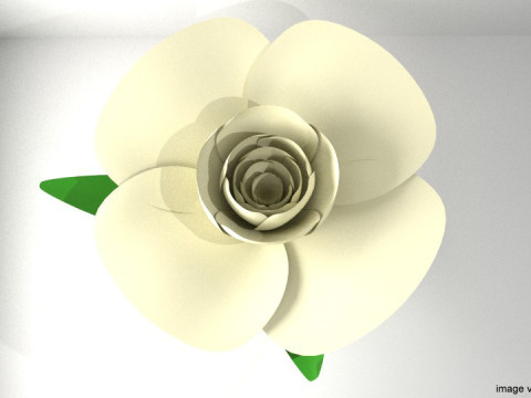 Flower - Gardenia 3D 模型
