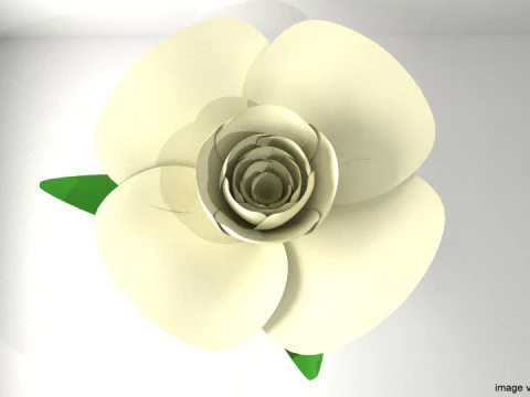 Flower - Gardenia 3D Model
