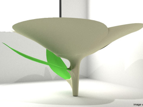 Flower - Gardenia 3D 模型