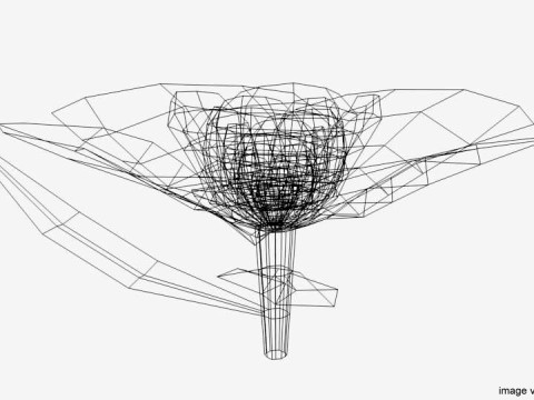 Flower - Gardenia 3D 模型