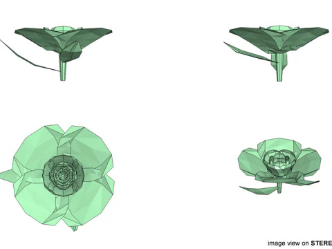 Flower - Gardenia 3D Model