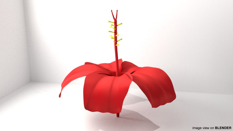 Flower - Hibiscus Modelo 3D .c4d .max .obj .3ds .fbx .stl .blend