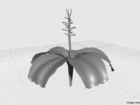 Flower - Hibiscus Modelo 3D
