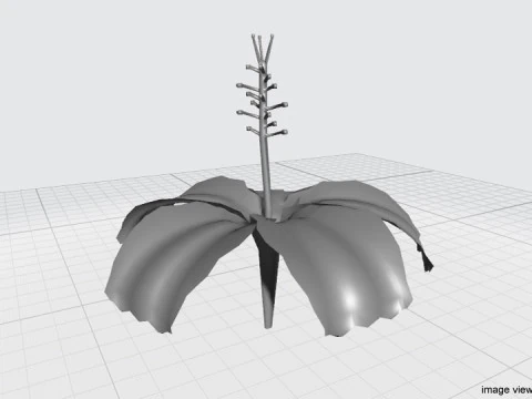 Flower - Hibiscus 3D Model