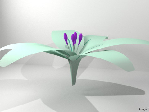 Flower - Lily 3D Модель
