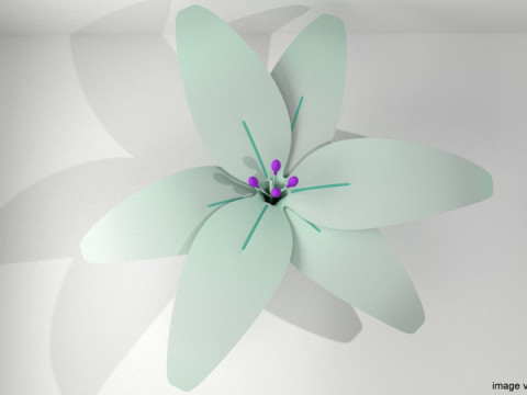 Flower - Lily Model 3D