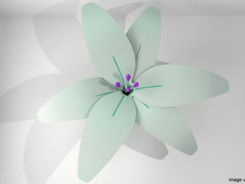 Bloem - Lelie 3D Model