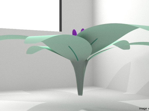 Flower - Lily Model 3D