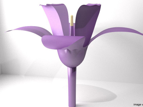 Flower - Orchid Modelo 3D