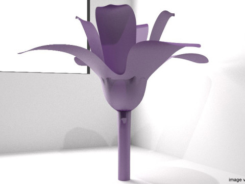 Flower - Orchid Model 3D