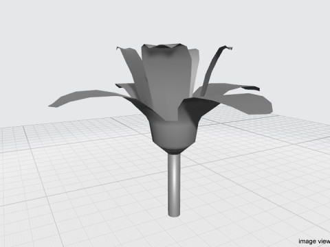 Flower - Orchid Model 3D