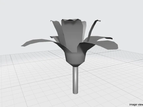 Flower - Orchid 3D Model