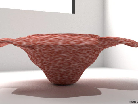 Flower - Rafflesia 3D Model