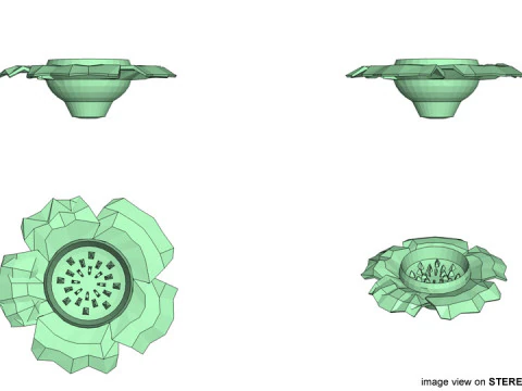 Flower - Rafflesia 3D Model