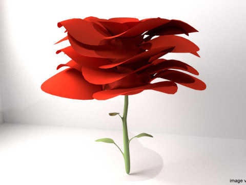 Flower - Rose 3Dモデル