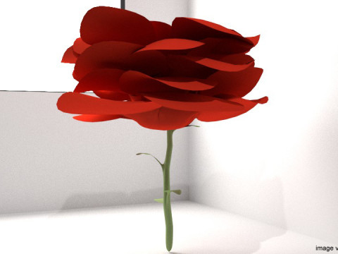Flower - Rose 3D Model
