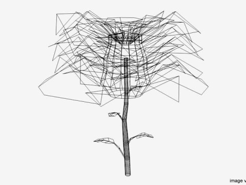 Flower - Rose 3D Model