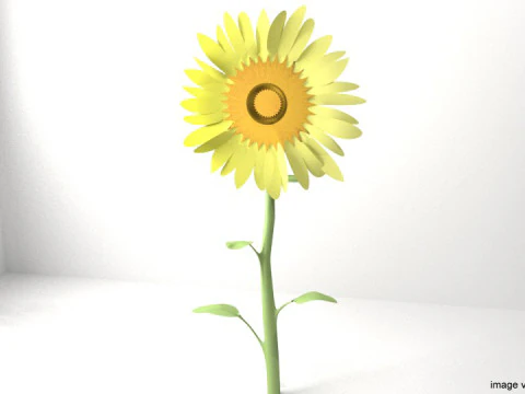 꽃 - 해바라기 3D 모델