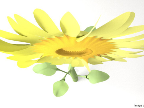 Flower - Sunflower 3D-Modell