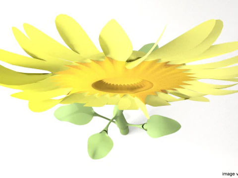 Flower - Sunflower 3D Model
