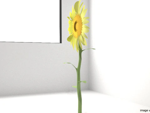 Flower - Sunflower 3D Model