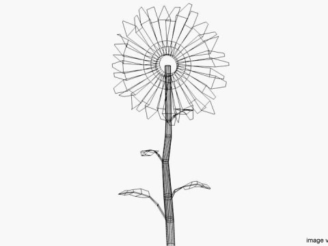 Flower - Sunflower 3D-Modell
