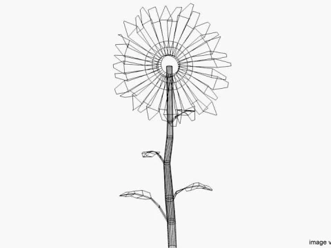 Flower - Sunflower 3D Model