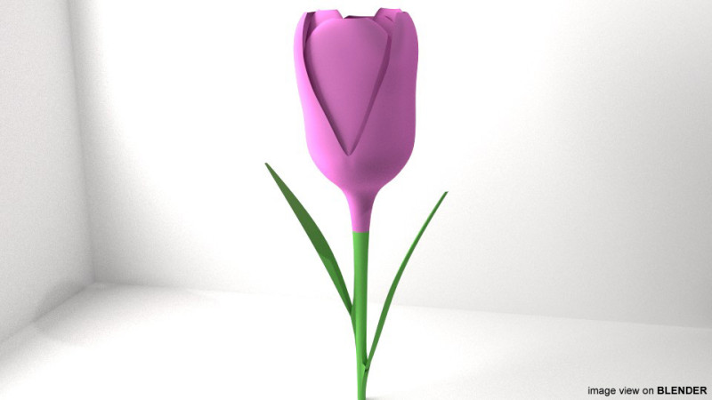 Flower - Tulip 3Dモデル .c4d .max .obj .3ds .fbx .stl .blend 