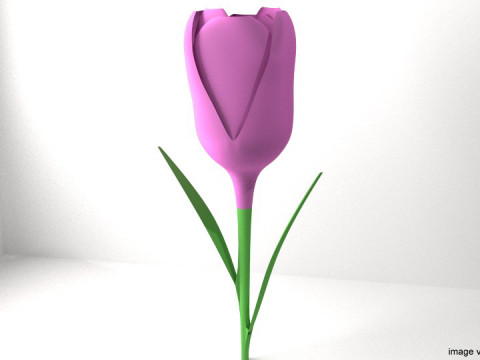 Flower - Tulip 3Dモデル