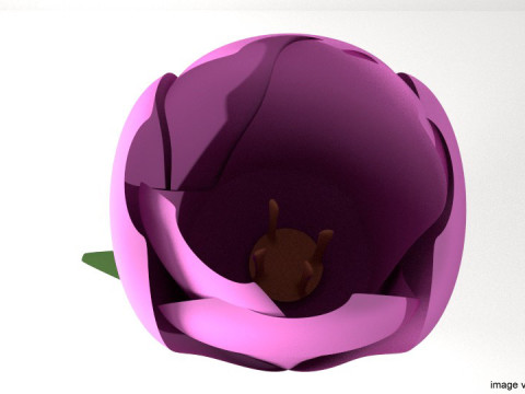 Flower - Tulip 3Dモデル